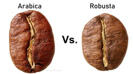 Biji Kopi Arabica Vs. Robusta. Apakah Perbezaannya?
