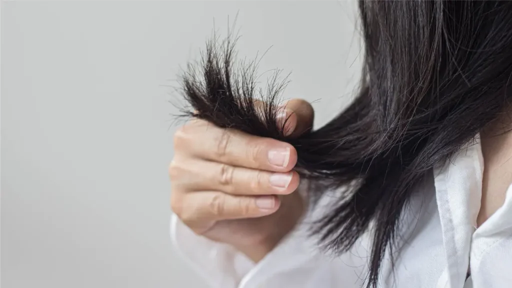 rambut kering