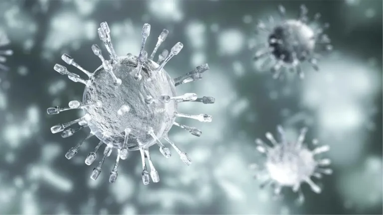 rotavirus