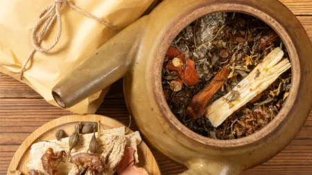 Apa yang Dimaksudkan Dengan Pengamal Perubatan Tradisional dan Komplementari (PT&K) Berdaftar? Perubatan Tradisional dan Komplementari berdaftar